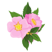 ASRDF logo_flower